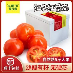 绿行者 红又红红番茄 小果 单果50-100g 5斤装