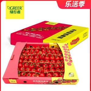北京奥运会食材供应商，绿行者 串爽樱桃番茄礼盒装 1kg*2件