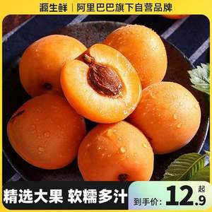 当季好水果，源生鲜 新鲜山西大黄杏 3斤