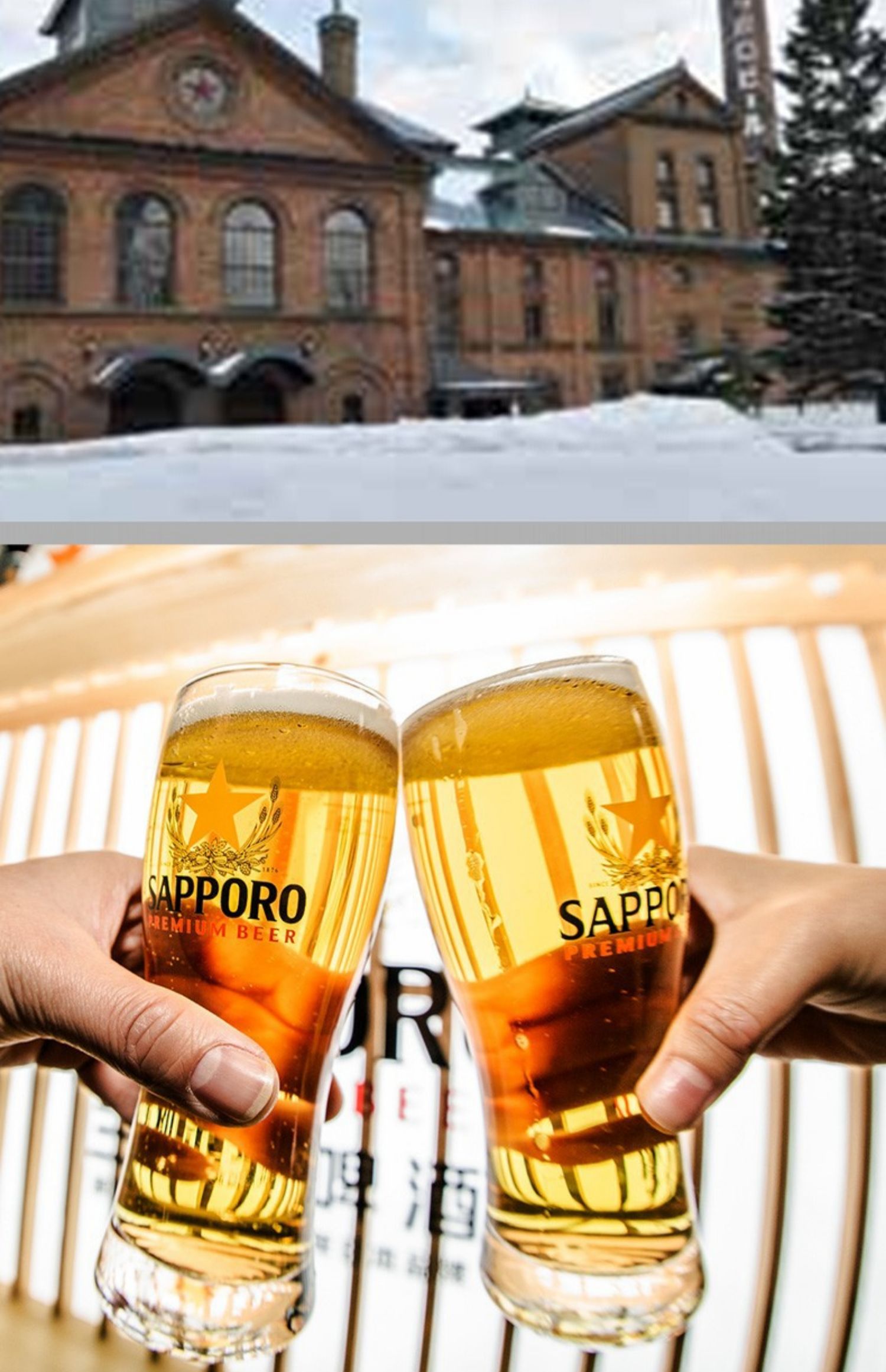 Sapporo 三宝乐 日本风味 札幌啤酒330mL*24瓶 赠洗漱包 199元包邮（需领券） 买手党-买手聚集的地方