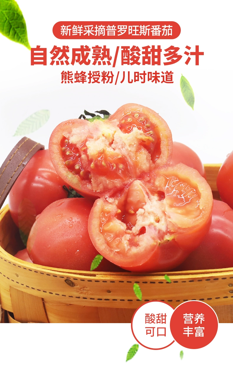 绿行者旗下，哪咤豆豆 普罗旺斯沙瓤西红柿番茄 5斤 18.92元包邮（双重优惠） 买手党-买手聚集的地方