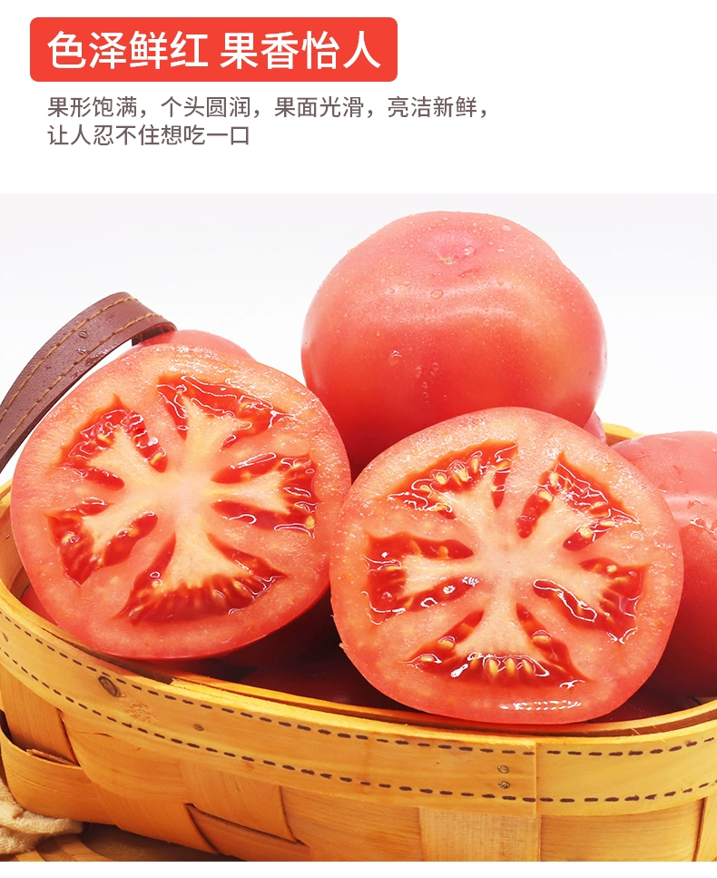 绿行者旗下，哪咤豆豆 普罗旺斯沙瓤西红柿番茄 5斤 18.92元包邮（双重优惠） 买手党-买手聚集的地方