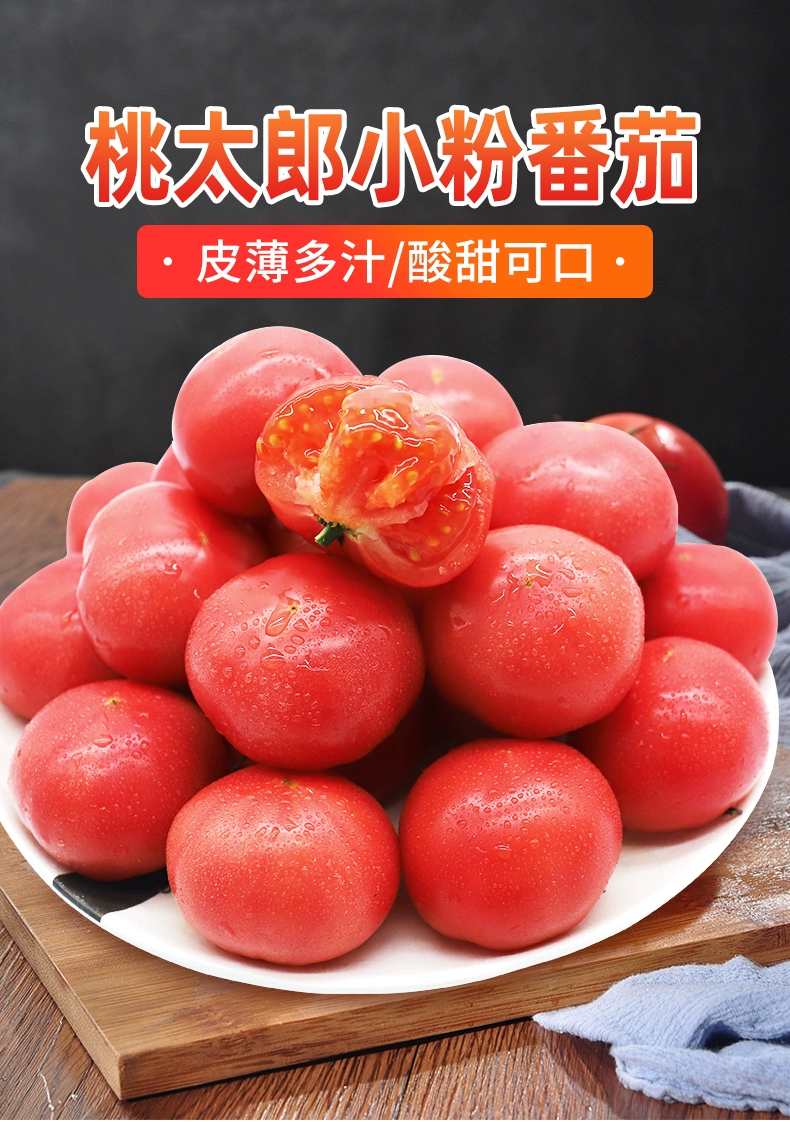 北京奥运会食材供应商，绿行者 桃太郎小粉番茄新鲜西红柿5斤