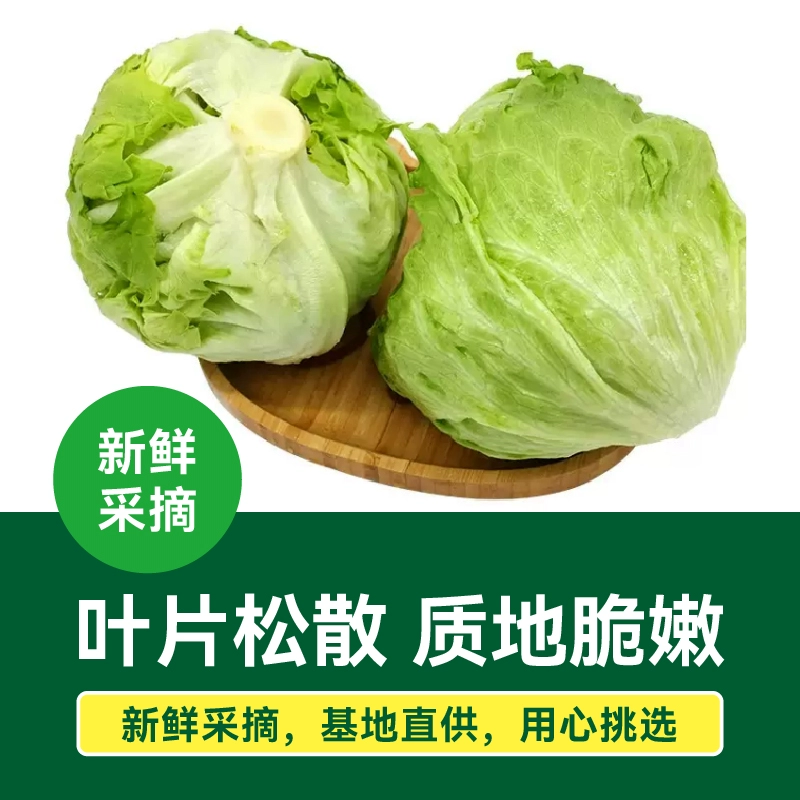 北京奥运会食材供应商，绿行者 出口级球形生菜 4斤 29.9元包邮 买手党-买手聚集的地方