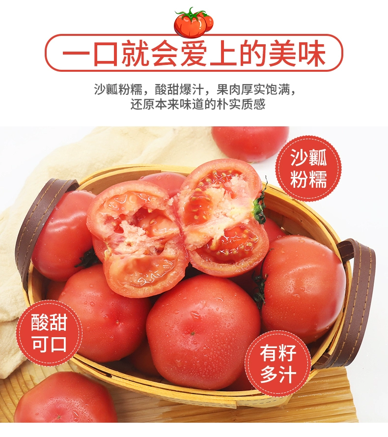 绿行者旗下，哪咤豆豆 普罗旺斯沙瓤西红柿番茄 5斤 25.9元包邮 买手党-买手聚集的地方